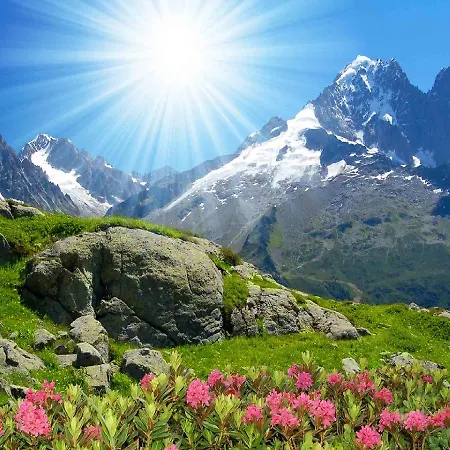 Paradisa Апартаменты